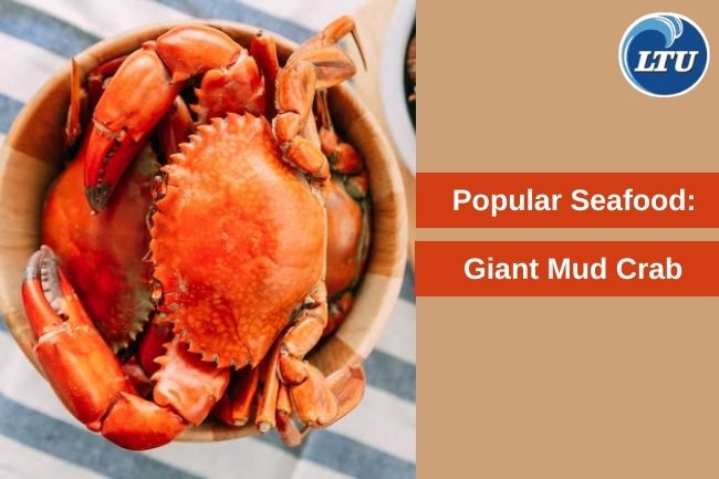 Revealing the Secret of Giant Mud Crab as a Global Seafood Star